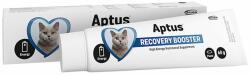 Aptus Aptus Recobooster pisică 60 g