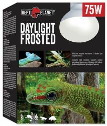 Repti Planet Bec REPTI PLANET Daylight Frosted 75W