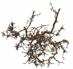  LUCKY REPTILE Decor terariu- arbust natural de deşert, 15 - 20cm