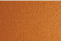 Fabriano Картон Colore, 50 x 70 cm, 140 g/m2, № 223, светлокафяв (43303223/2_AVANA)