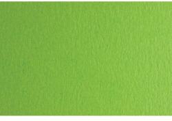Fabriano Картон Colore, 70 x 100 cm, 140 g/m2, № 230, тревистозелен (43303230/100_VER.PIS)