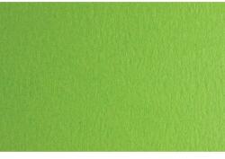 Fabriano Картон Colore, 50 x 70 cm, 140 g/m2, № 230, тревистозелен (43303230/2_VER.PIS)