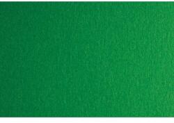 Fabriano Картон Colore, 50 x 70 cm, 140 g/m2, № 231, зелен (43303231/2_VERDE)