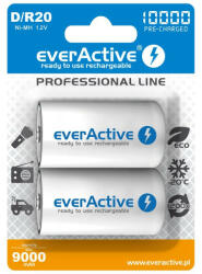 everActive R20/D Ni-MH 10000 mAh