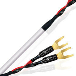  Wireworld Stream 10 Speaker Cable 2m