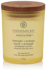 Chesapeake Bay Strength + Energy lumânări parfumate 96 g
