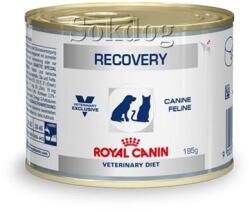 Royal Canin Royal Canin Recovery mousse 12x195g