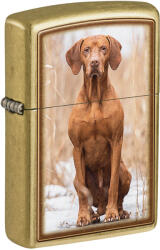 Zippo Öngyújtó, Vizsla Design 48267-107261 - swisstimeshop