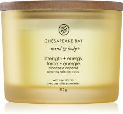Chesapeake Bay Mind & Body Strength & Energy lumânare parfumată I. 312 g
