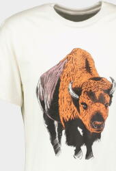 Pegas Tricou Zimbru (tpg23zimbr-ivo_s) - vexio