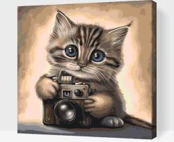 Festés számok szerint - Cicák kamerával Méret: 50x50cm, Keretezés: Fatáblával