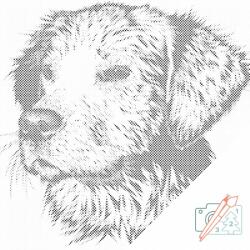 PontPöttyöző - Illusztráció kutyáról Méret: 50x50cm, Keretezés: Fatáblával, Szín: Zöld