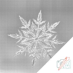  PontPöttyöző - Jégvirág 2 Méret: 50x50cm, Keretezés: Kartonlemezen, Szín: Fekete