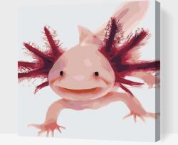  Festés számok szerint - Axolotl 3 Méret: 50x50cm, Keretezés: Kartonlemezen