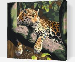 Festés számok szerint - Pihenő leopárd Méret: 50x50cm, Keretezés: Fatáblával