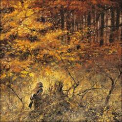 Ambiente Eurasian jay papírszalvéta 33x33cm, 20db-os