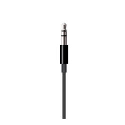 Apple Lightning to 3.5mm Audio Cable (1.2m) - Black (mr2c2zm/a)
