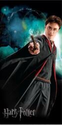  Harry Potter 70x140 cm (008380)
