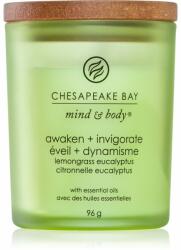 Chesapeake Bay Mind & Body Awaken & Invigorate lumânare parfumată 96 g