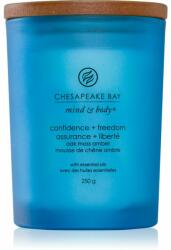 Chesapeake Bay Mind & Body Confidence & Freedom lumânare parfumată 250 g