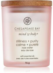 Chesapeake Bay Mind & Body Stillness & Purity lumânare parfumată 96 g