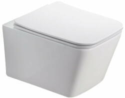 Fluminia Set vas WC suspendat Fluminia Paris, cu capac quick release si soft close, alb lucios (FLM406)