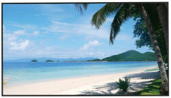 Dahua LM49-S400 Monitor