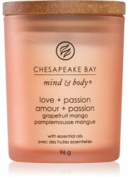 Chesapeake Bay Mind & Body Love & Passion illatgyertya 96 g