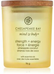 Chesapeake Bay Mind & Body Strength & Energy lumânare parfumată 96 g