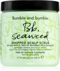 Bumble and bumble Seaweed Scalp Scrub Exfoliant pentru scalp cu extracte de alge marine 200 ml