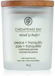 Chesapeake Bay Mind & Body Peace & Tranquility illatgyertya 96 g