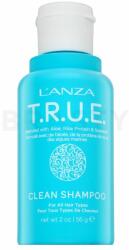 L’ANZA T. R. U. E. Clean Shampoo száraz sampon minden hajtípusra 56 g