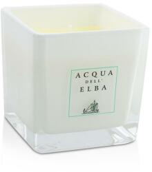 Acqua dell'Elba Lumânare aromată - Acqua Dell'Elba Fiori Scented Candle 425 g