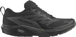 Salomon Pantofi trail Salomon SENSE RIDE 5 GTX l47147200 Marime 40, 7 EU (l47147200)