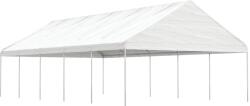 vidaXL 3155521 11,15x5,88x3,75 m