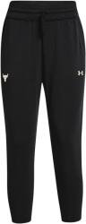 Under Armour Project Rock Női sport melegítő Under Armour PRJCT ROCK TERRY CROP PNT W fekete 1361060-001 - M