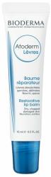 BIODERMA Atoderm ajakápoló balzsam (15ml) - unipatika