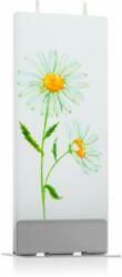 FLATYZ Nature Daisies lumanare 6x15 cm