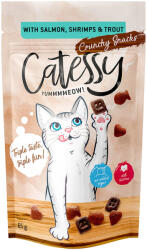 Catessy Catessy Snackuri crocante 65 g - Somon, creveți & păstrăv