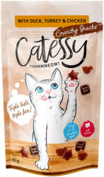 Catessy Catessy Snackuri crocante 65 g - Rață, curcan & pui