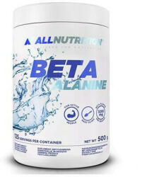 ALLNUTRITION Beta-Alanine Endurance Max italpor 500 g