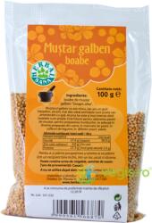 HERBAVIT Mustar Galben Boabe 100g