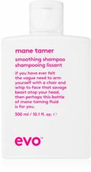 evo Smooth Smoothing Shampoo kisimító sampon a rakoncátlan és töredezett hajra 300 ml