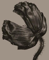 WARNER Pet Shop Boys - Release (1lp, 180g, Reissue, Remastered) (0190295944049)