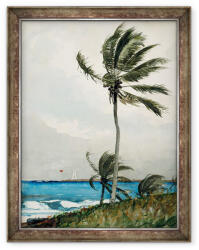 Norand Tablou inramat - Winslow Homer - Palmier, Nassau (B_GOLD_3468947)