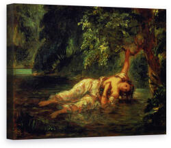 Norand Tablou Canvas - Ferdinand Victor Eugene Delacroix - Moartea lui Ophelia (B83634)
