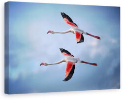 Norand Tablou Canvas - Flamingo Mai Mari (07053)