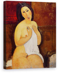 Norand Tablou Canvas - Amedeo Modigliani - Sezat Nud cu o camasa (B898083)