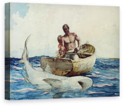 Norand Tablou Canvas - Winslow Homer - Pescuit de rechin (B228820)