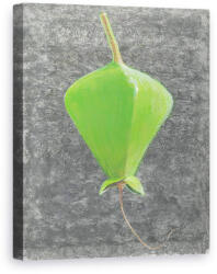 Norand Tablou Canvas - Lincoln Seligman - Barringtonia Acutangula I (B1219832)